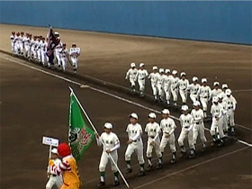 ~{t28S{w싅