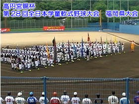 ~{t28S{w싅